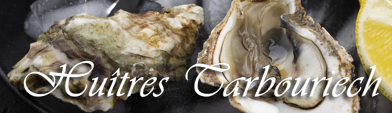 huitres